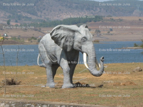 elefante-watermark